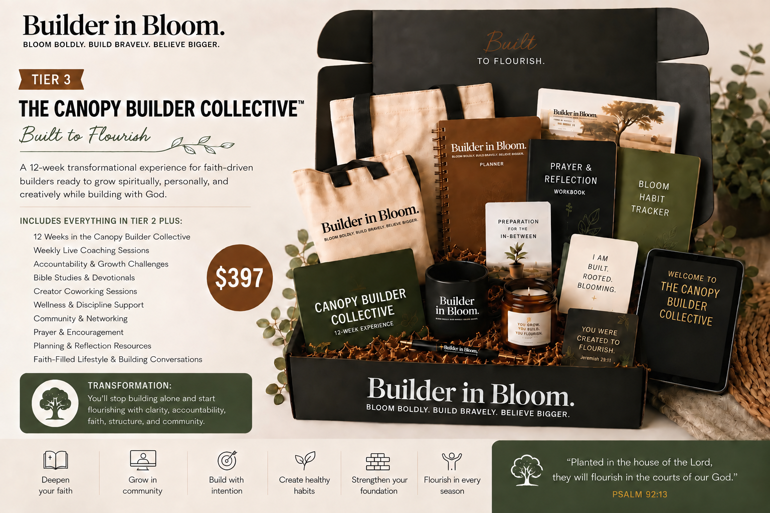 Canopy Builder Collective — full box contents spread out flat lay