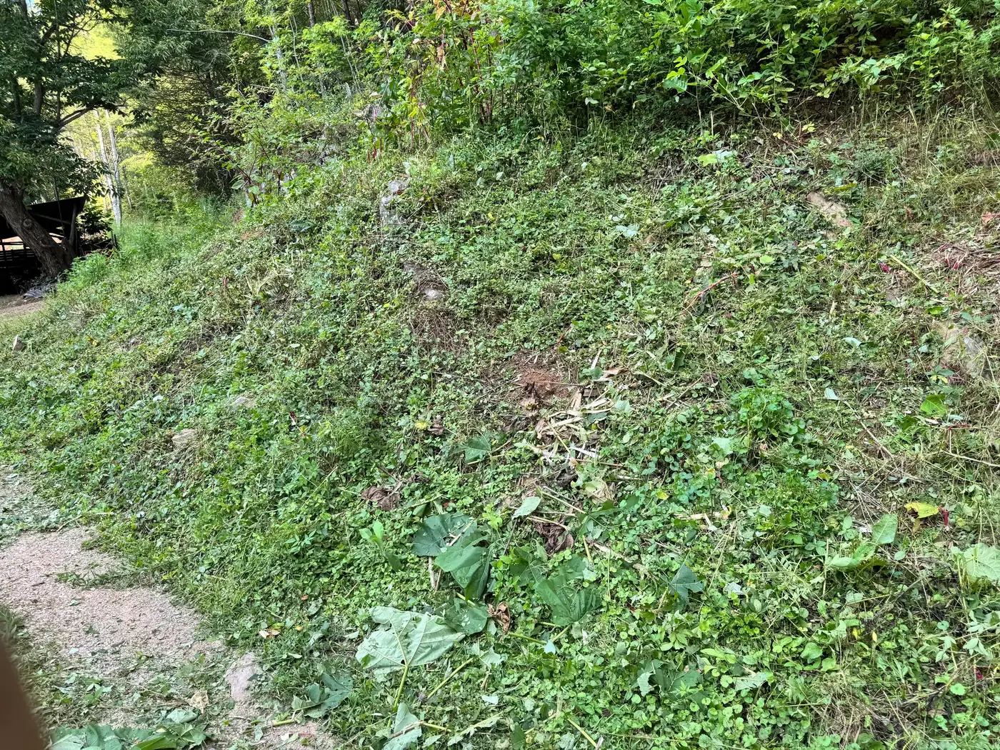 After: the same kind of steep bank cut back clean beside a gravel driveway