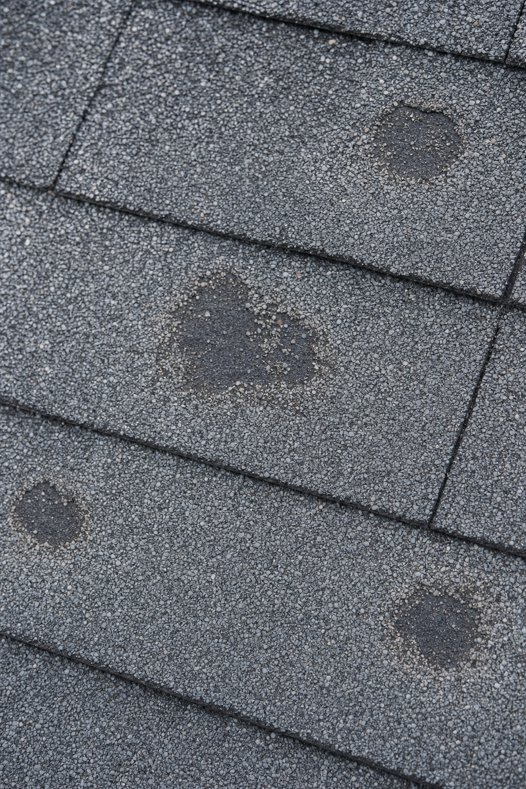 HAIL DAMAGE DOCUMENTATION